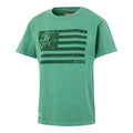 Front view of green AC Collection Tee featuring bold dark stripes and AC logo