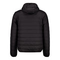 Back view of black quilted hooded puffer jacket with horizontal stitching