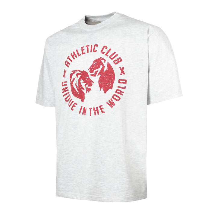 Gray heather T shirt with bold red circular logo and twins text on the front.