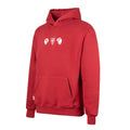Red hooded sweatshirt with a front pocket and three chest logos a lion, a shield, and a second lion.