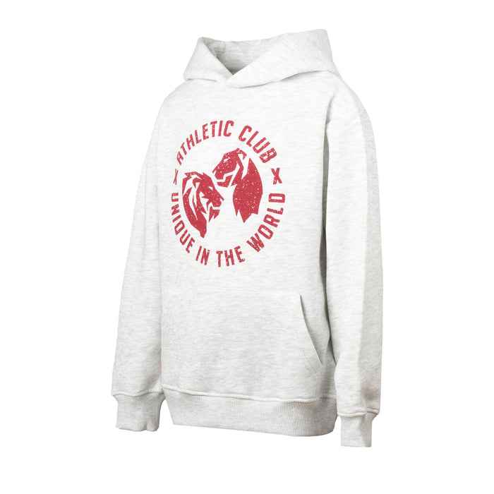 Grey kids hoodie with a red circular graphic logo on the chest