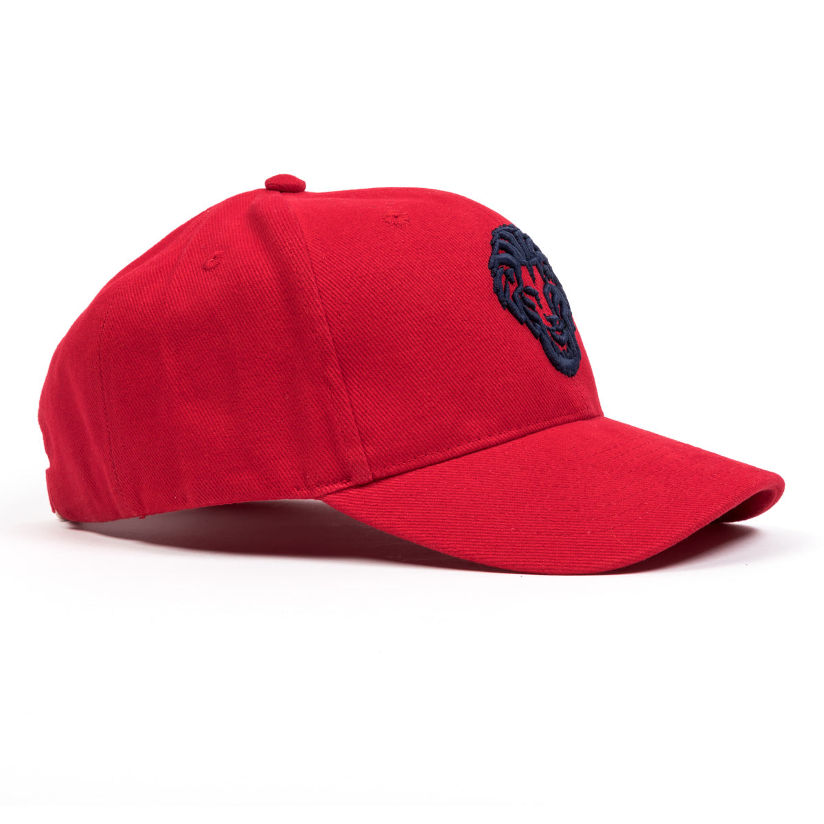 Gorra Bas Leon RJ azm asko
