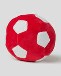 PELOTA DE JUGUETE