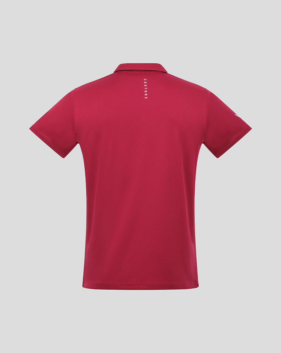 Pinacle diseñado Knit Polo 2